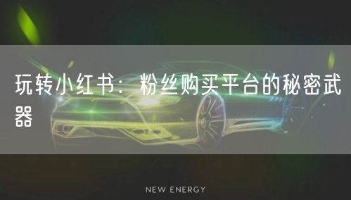 玩转小红书:粉丝购买平台的秘密武器