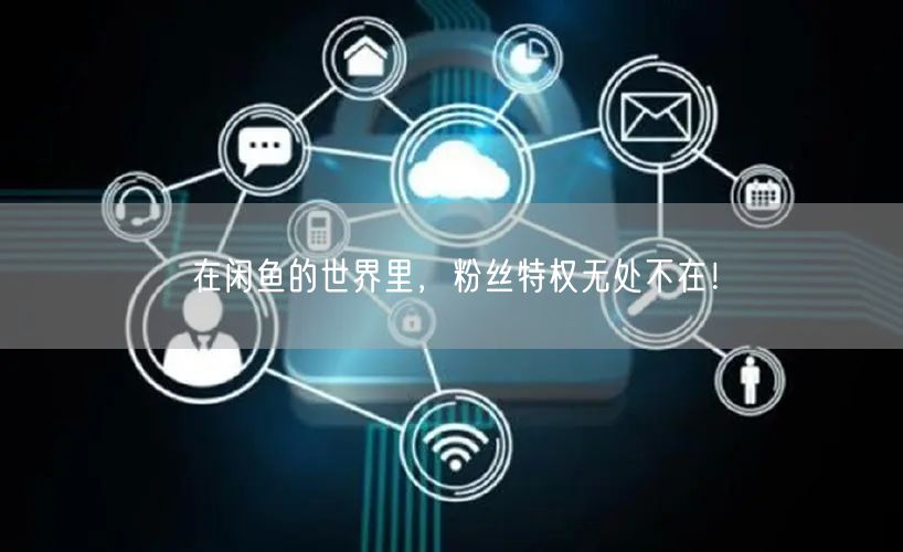 在闲鱼的世界里,粉丝特权无处不在!