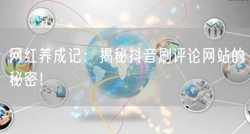 网红养成记:揭秘抖音刷评论网站的秘密!