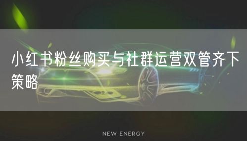 小红书粉丝购买与社群运营双管齐下策略