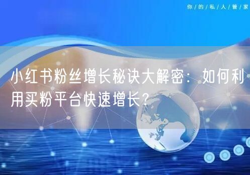 小红书粉丝增长秘诀大解密：如何利用买粉平台快速增长？