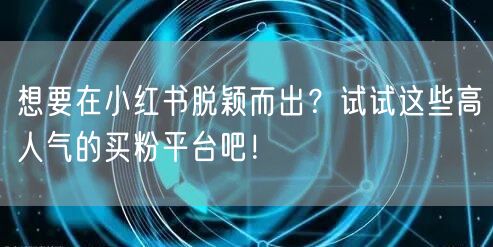 想要在小红书脱颖而出?试试这些高人气的买粉平台吧!