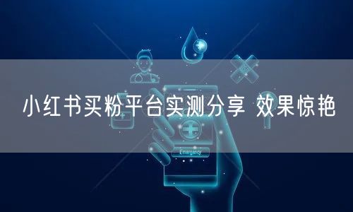 小红书买粉平台实测分享 效果惊艳
