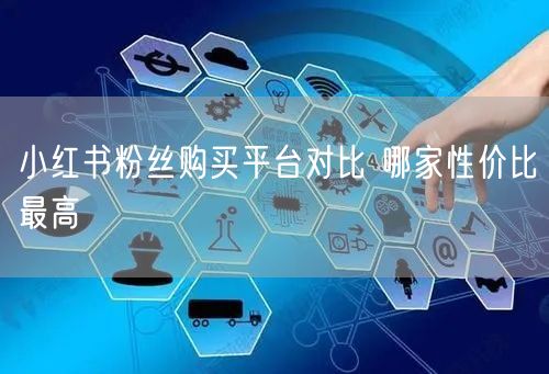 小红书粉丝购买平台对比 哪家性价比最高