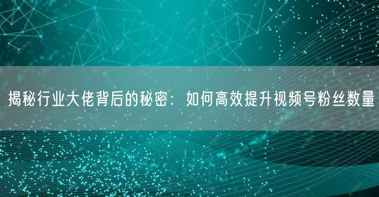 揭秘行业大佬背后的秘密：如何高效提升视频号粉丝数量