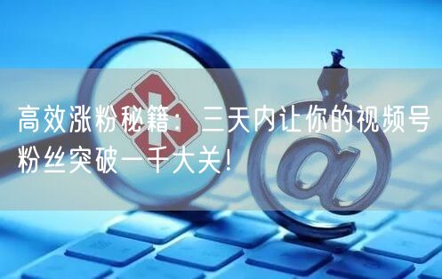 高效涨粉秘籍:三天内让你的视频号粉丝突破一千大关!