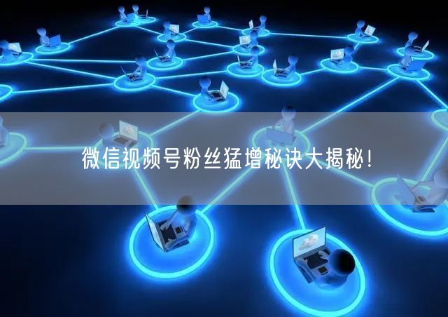 微信视频号粉丝猛增秘诀大揭秘!